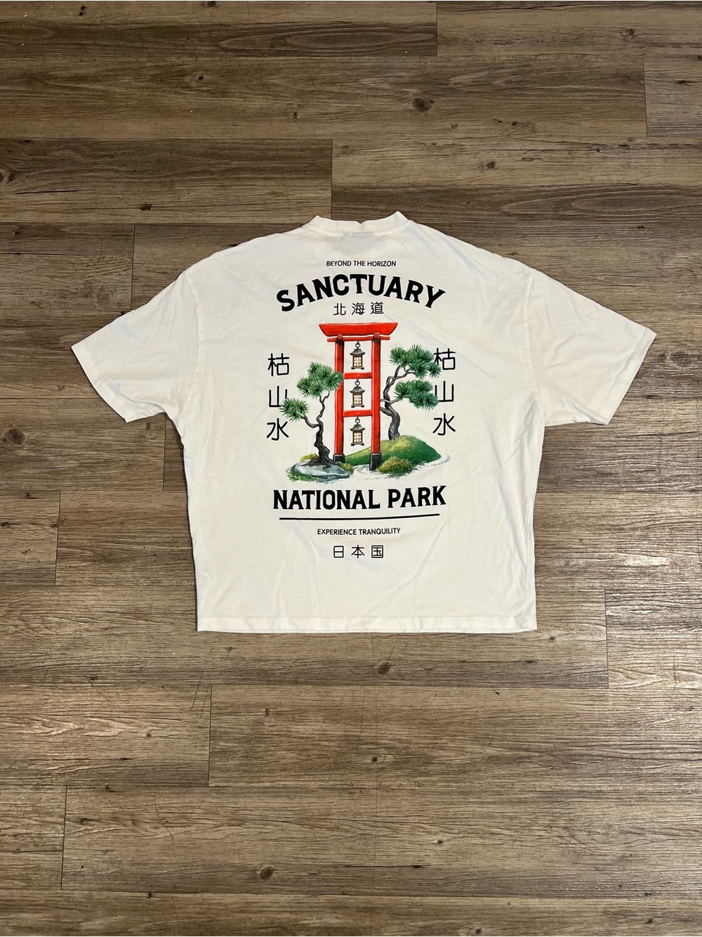 ASOS DESIGN oversized t-shirt in off white with souvenir back & central front pr